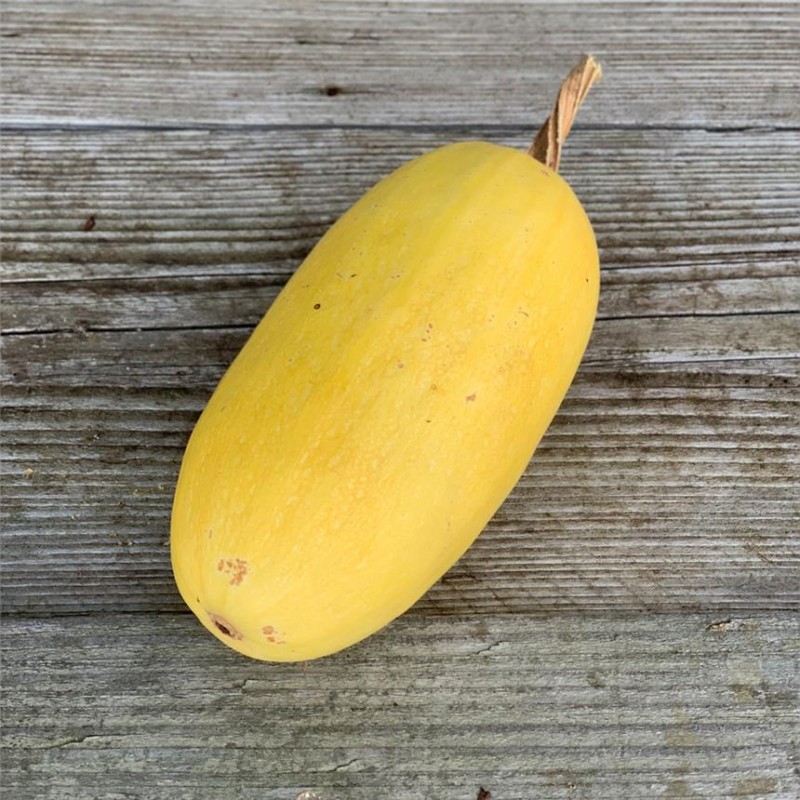 Courge spaghettis 1kg et +