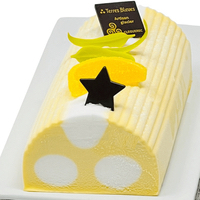 BUCHE SORBETS FRUITS EXOTIQUES-CITRON DE SICILE 6/8 parts